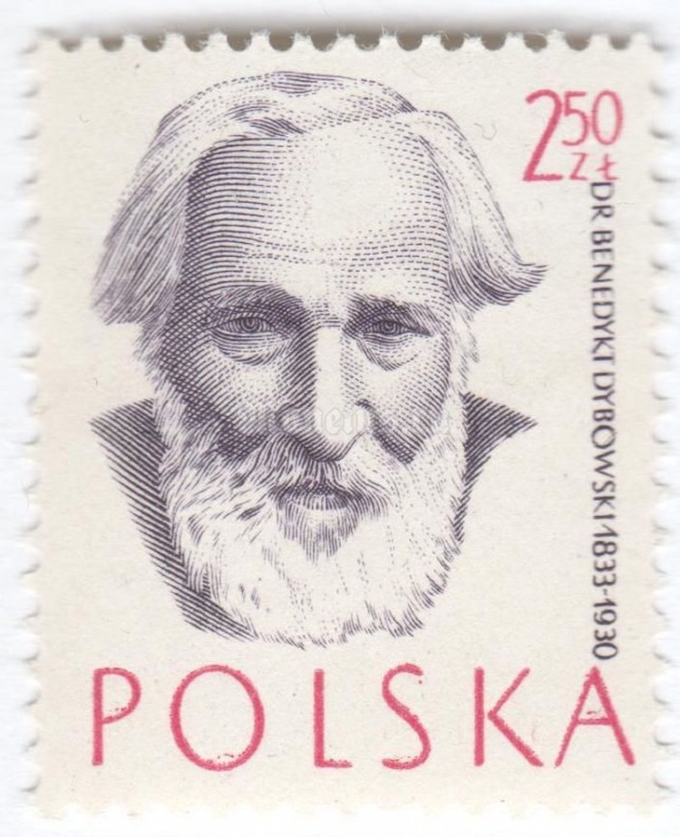 Medicine Poland