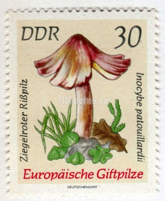 марка ГДР 30 пфенниг "Brick-red tear mushroom" 1974 год