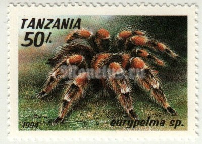 марка Танзания 50 шиллингов "Тарантул ( Eurypelma )" 1994 год