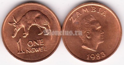 монета Замбия 1 нгве 1983 год