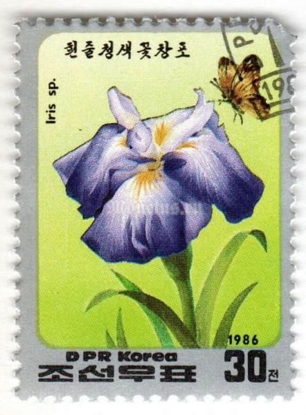 марка Северная Корея 30 чон "Iris sp." 1986 год Гашение