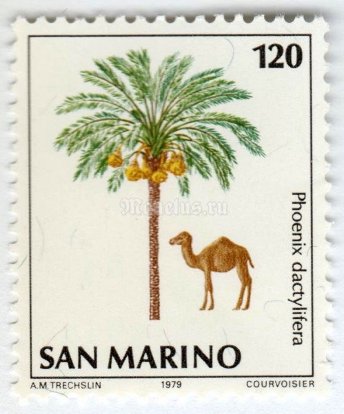 марка Сан-Марино 120 лир "Dromedary (Camelus dromedarius), Date Palm (Phoenix dactylif)" 1979 год