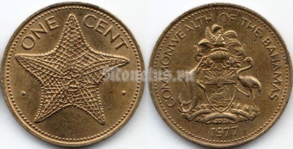 монета Багамы 1 цент 1977 год