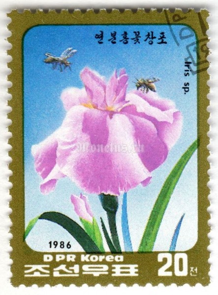 марка Северная Корея 20 чон "Iris sp." 1986 год Гашение