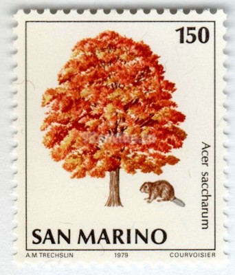 марка Сан-Марино 150 лир "Beaver (Castor sp.), Sugar Maple (Acer saccharum)" 1979 год