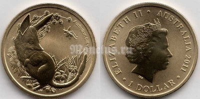 монета Австралия 1 доллар 2011 год  - Билби, серия детеныши животных