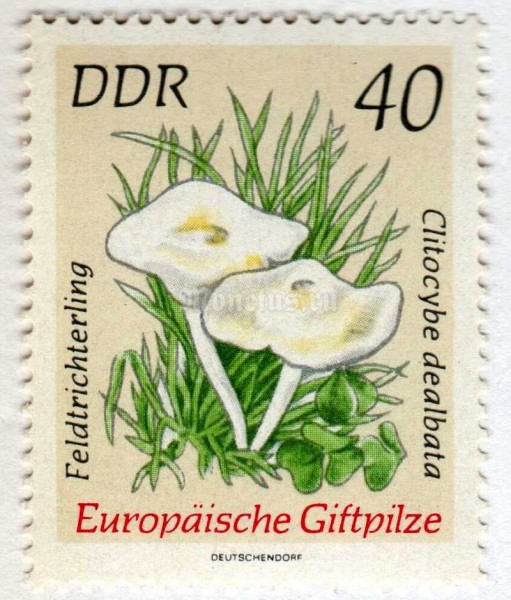 марка ГДР 40 пфенниг "Feldtrichterling" 1974 год