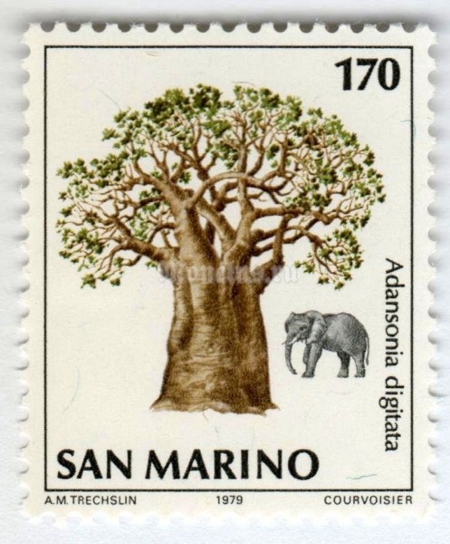 марка Сан-Марино 170 лир "African Elephant (Loxodonta africana), Baobab (Adansonia dig)" 1979 год