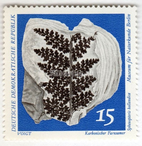 марка ГДР 15 пфенниг "Carboniferous Seed Fern (Sphenopteris hollandica)" 1973 год 