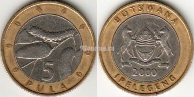 монета Ботсвана 5 пул 2000 год Гусеница