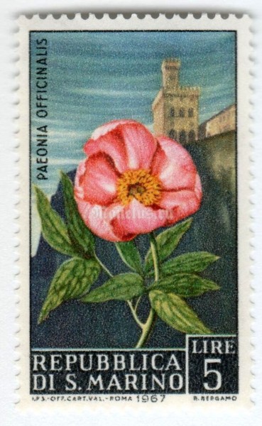 марка Сан-Марино 5 лир "Peony (Paeonia officinalis)" 1967 год