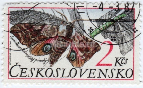 марка Чехословакия 2 кроны "Eyed Hawk-moth (Smerinthus ocellata)" 1987 год гашение