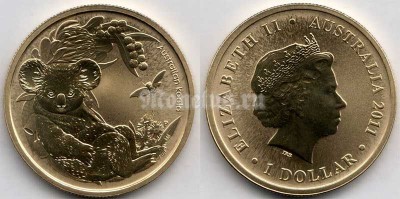 монета Австралия 1 доллар 2011 год  - Коала, серия детеныши животных