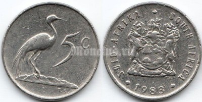 монета Южная Африка 5 центов 1983 год
