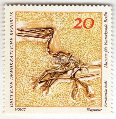 марка ГДР 20 пфенниг "Pterodactylus kochi" 1973 год 