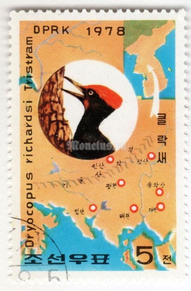 марка Северная Корея 5 чон "Tristram's Woodpecker (Dryocopus javensis richardsi)" 1978 год Гашение