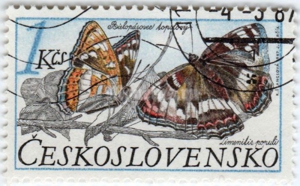 марка Чехословакия 1 крона "Poplar Admiral (Limenitis populi)" 1987 год гашение