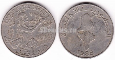 монета Тунис 1 динар 1988 год FAO