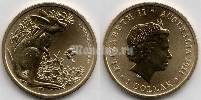 монета Австралия 1 доллар 2011 год  - Кенгуру, серия детеныши животных