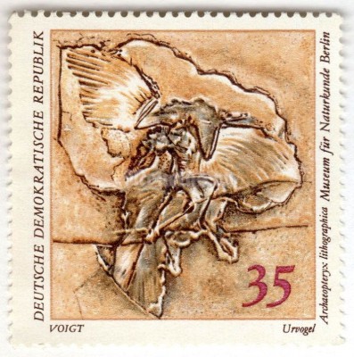 марка ГДР 35 пфенниг "Urvogel (Archaeopteryx lithographica)" 1973 год 