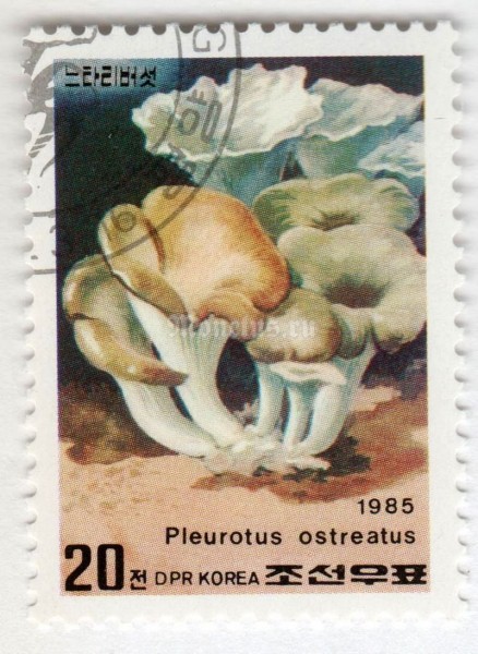 марка Северная Корея 20 чон "Pluerotus ostreatus" 1985 год Гашение