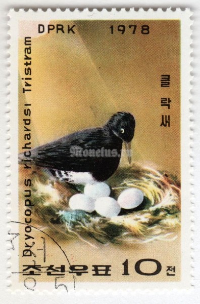 марка Северная Корея 10 чон "Tristram's Woodpecker (Dryocopus javensis richardsi)" 1978 год Гашение