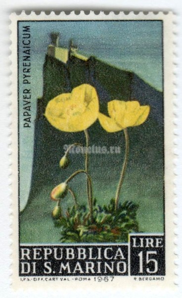 марка Сан-Марино 15 лир "Pyrenean poppy" 1967 год