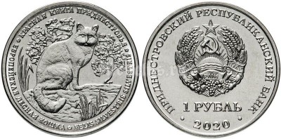 монета Приднестровье 1 рубль 2020 год - Европейская лесная кошка