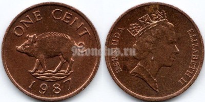 монета Бермуды 1 цент 1987 год