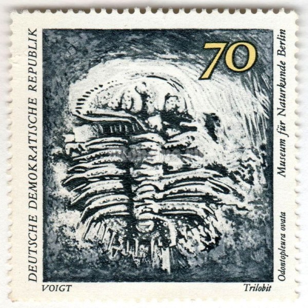 марка ГДР 70 пфенниг "Trilobite (Odontopleura ovata)" 1973 год 