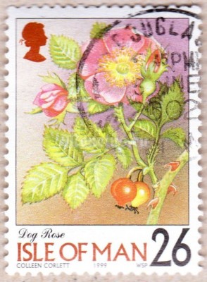 марка Остров Мэн 26 пенни "Шиповник собачий" 1999 год