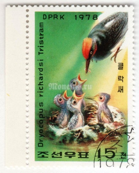 марка Северная Корея 15 чон "Tristram's Woodpecker (Dryocopus javensis richardsi)" 1978 год Гашение