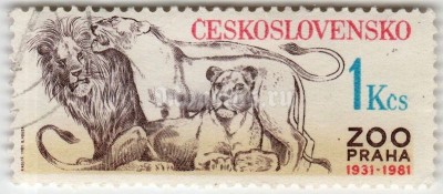 марка Чехословакия 1 крона "Lion (Panthera leo)" 1981 год гашение 