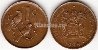 монета ЮАР 1 цент 1988 год, воробьи