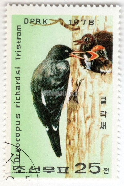 марка Северная Корея 25 чон "Tristram's Woodpecker (Dryocopus javensis richardsi)" 1978 год Гашение