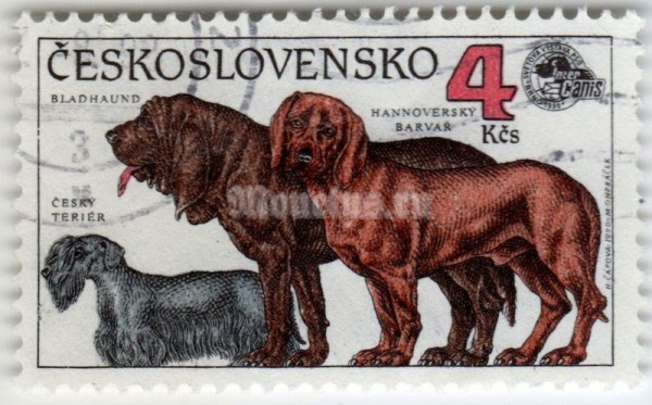 марка Чехословакия 4 кроны "Cesky Terrier, Bloodhound, Hanoverian Hound (Canis lupus fam" 1990 год гашение