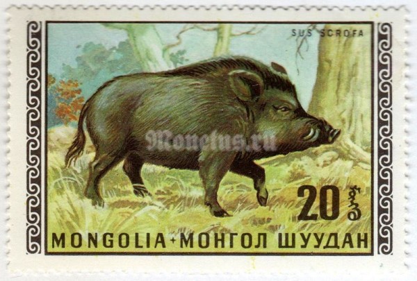 марка Монголия 20 монго "Wild Boar (Sus scrofa)" 1970 год