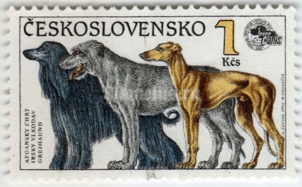 марка Чехословакия 1 крона "Afghan Hound, Irish Wolfhound, Greyhound (Canis lupus famili" 1990 год гашение