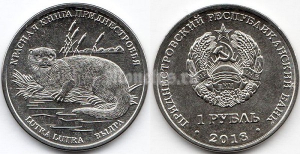 монета Приднестровье 1 рубль 2018 год - Выдра (Lutra lutra)
