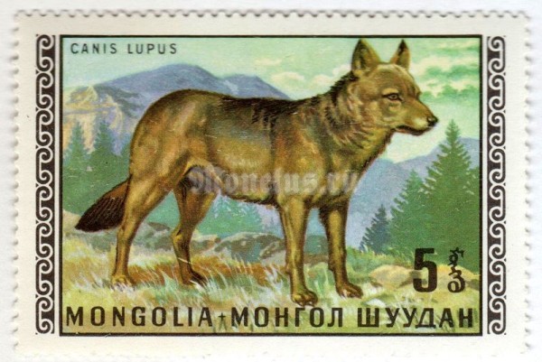 марка Монголия 5 монго "Wolf (Canis lupus)" 1970 год
