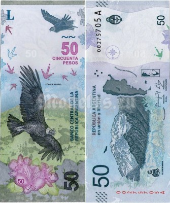 Банкнота Аргентина 50 песо 2018 - 2019 года - Андский кондор