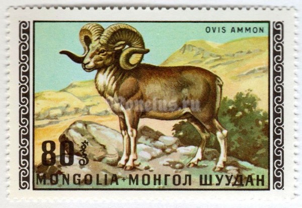 марка Монголия 80 монго "Argali (Ovis ammon)" 1970 год