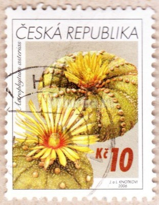 марка Чехия 10 крон "Кактус, Астрофитум астериас" 2006 год