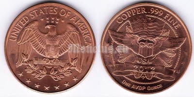 жетон COPPER США 2012 год