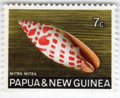 марка Папуа Новая Гвинея 7 центов "Giant Mitre (Mitra mitra)" 1969 год