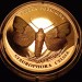 ​монета Украина 2 гривны 2020 год - Совка роскошная