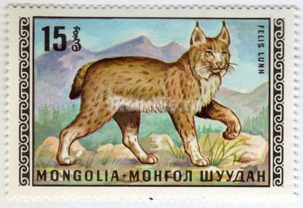 марка Монголия 15 монго "Eurasian Lynx (Lynx lynx)" 1970 год