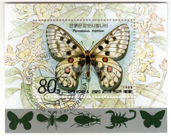 блок Северная Корея 80 чон "Butterfly (Parnassius nomion)" 1989 год Гашение