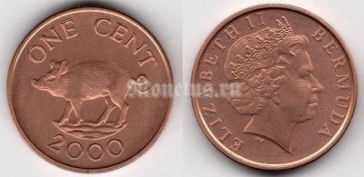 монета Бермуды 1 цент 2000 год