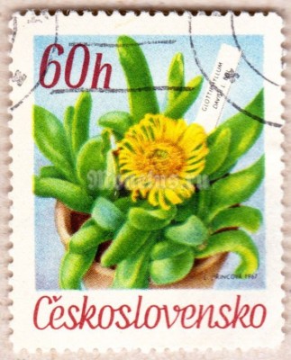 марка Чехословакия 60 геллер "Glottiphyllum  " 1967 год